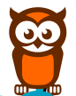 Owl 1